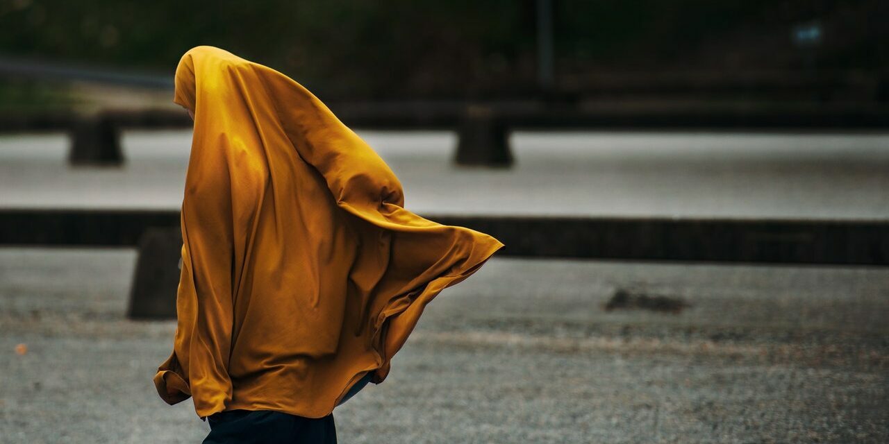 pexels-janko-ferlic-590491 (1)