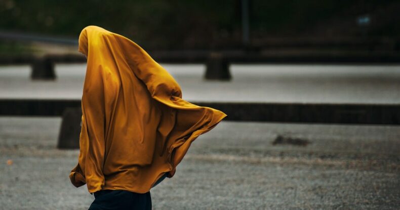 pexels-janko-ferlic-590491 (1)